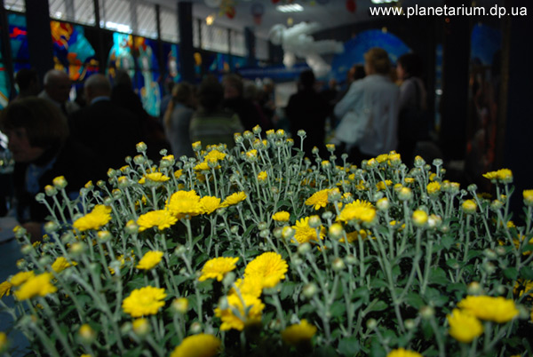 ����������������� ���������� 45 ���